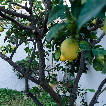 Capistrano With Access To Nerjas Pool Area Nerja