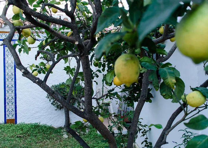 Capistrano With Access To Nerjas Pool Area Nerja